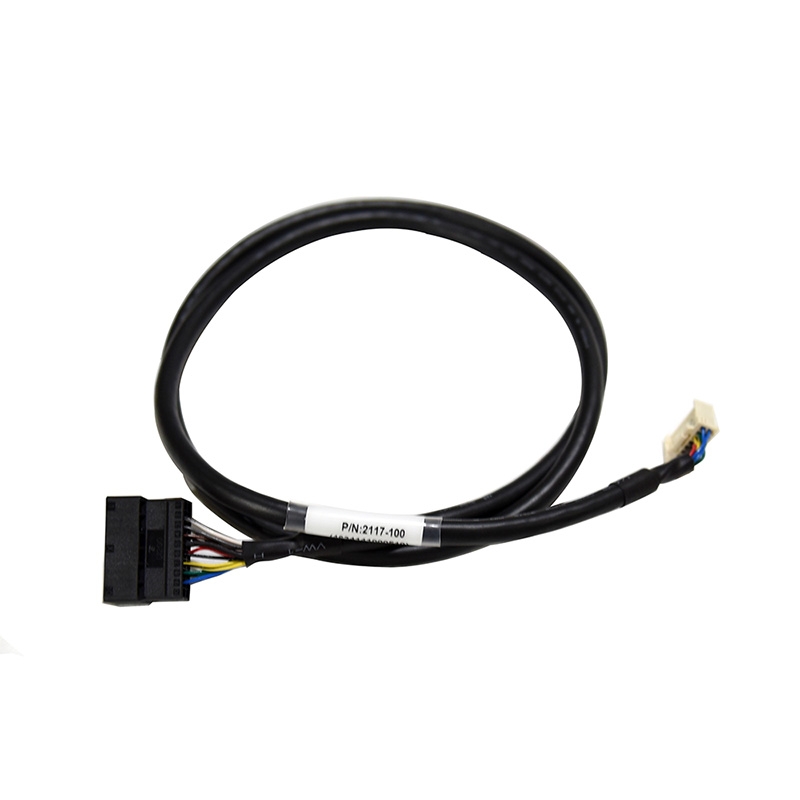 2117-100-1-Cables for RS SS Series