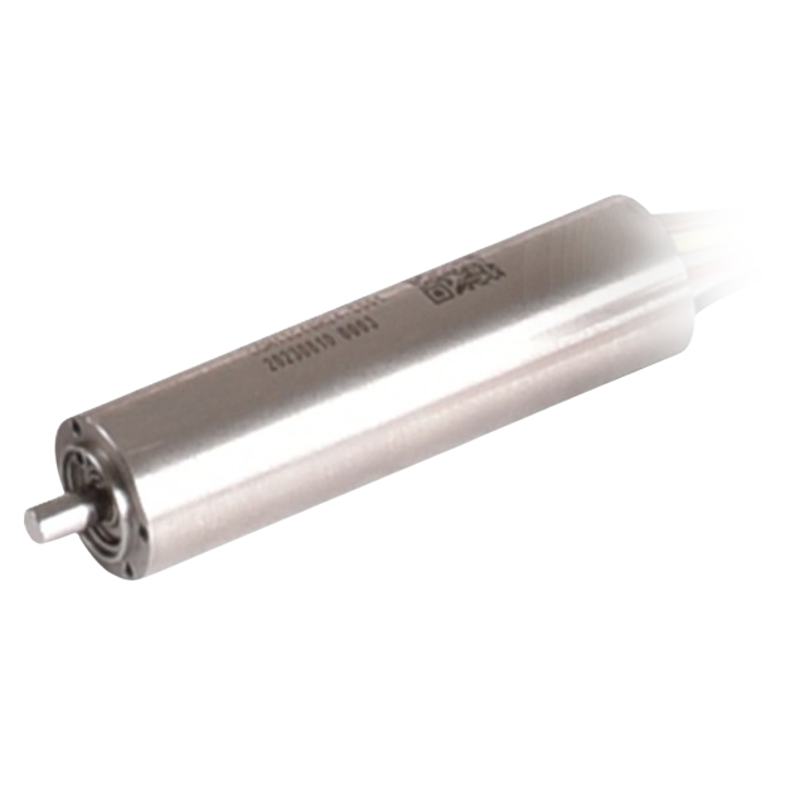 ECH13048 High-Speed Slotless Brushless DC Motors by MOONS'