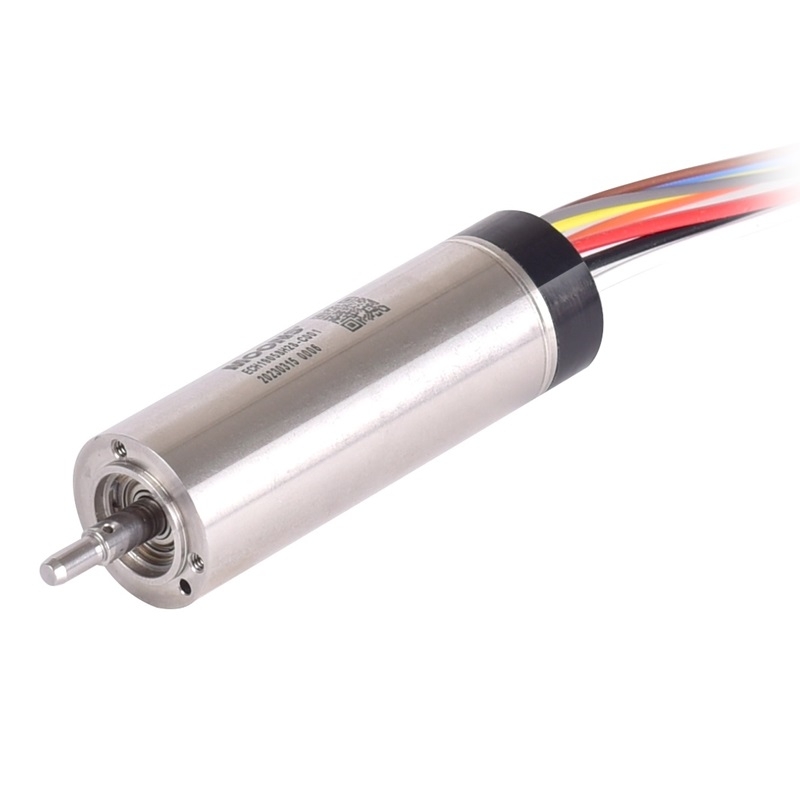 ECH19058H24-S101 - ECH19058 High Speed Slotless Brushless DC Motors ...